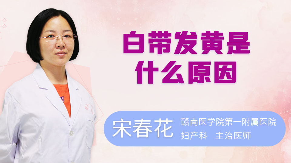 白带发黄是什么原因