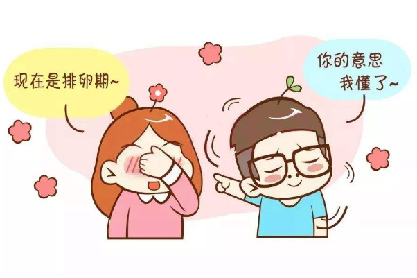 女人进入排卵期后，身体会有什么感觉？