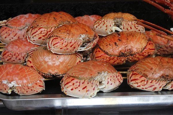 怀孕初期不能吃什么肉 6种肉坚决不能够吃