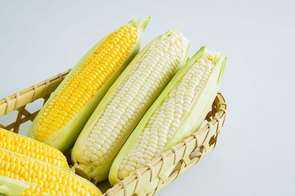 宝宝吃玉米好消化吗 不给孩子吃玉米难道不是暴食天物