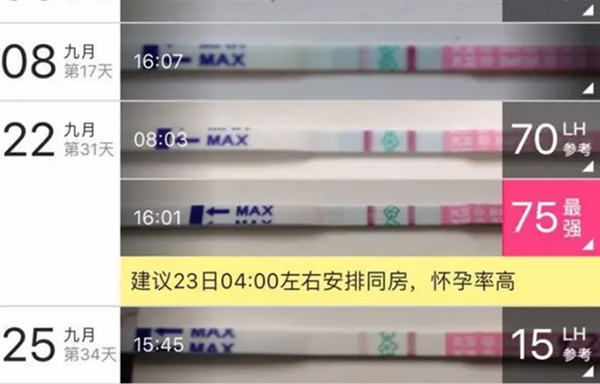 大卫排卵试纸准吗 大卫排卵试纸怎么看