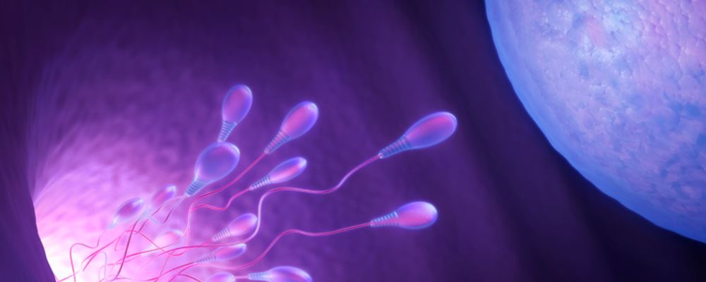 男性精子少怎么回事 有哪些原因