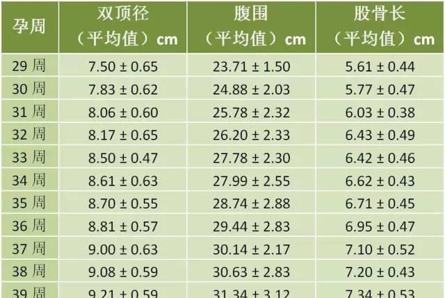 胎儿发育标准对照表图 胎儿发育标准对照表图 胎儿发育B超标准数据表