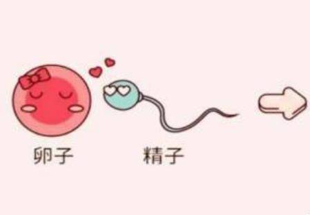 五十五女性如何提高受孕率？高龄产妇备孕前准备有哪些