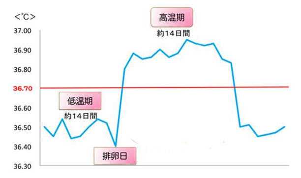 排卵日当天跟排卵前，哪个受孕率更高呢