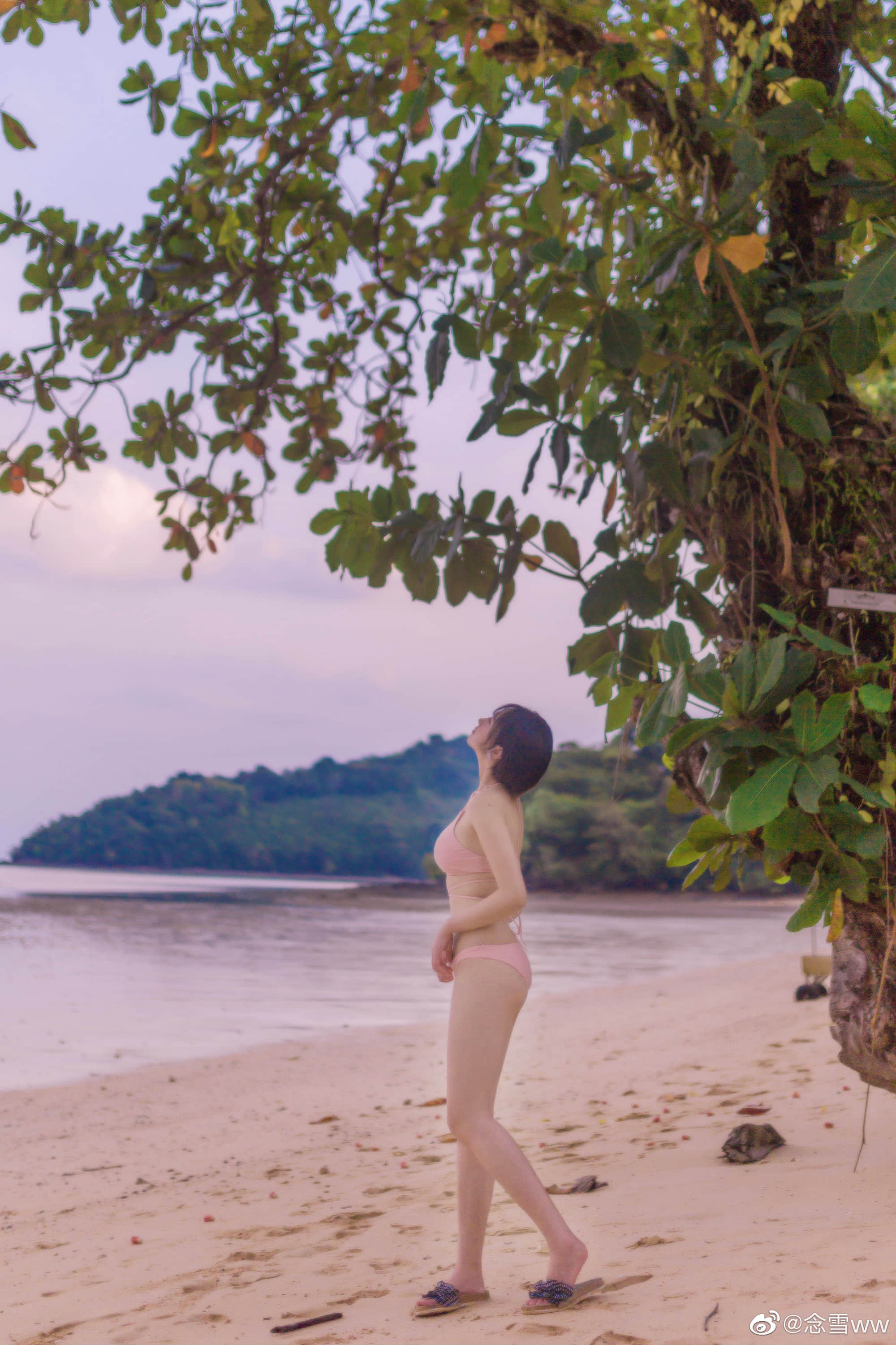 美女写真 粉紫色的浪漫小世界7