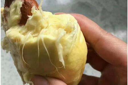 榴莲的功效与作用禁忌,滋阴补阳营养胜过老母鸡