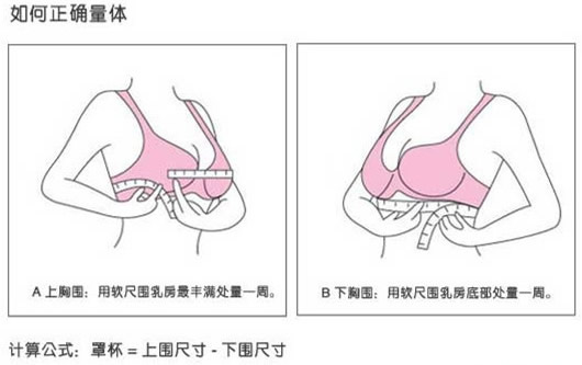 如何量胸围才准确 标准的胸围尺码表【图】