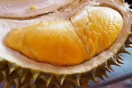 榴莲不能和什么食物一起吃 榴莲的功效与作用禁忌介绍