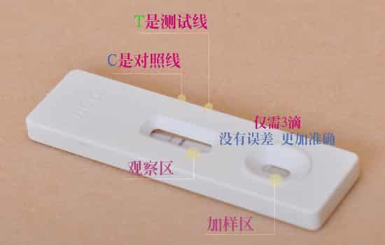 验孕棒什么时候测最准 5大点帮你提高准确率