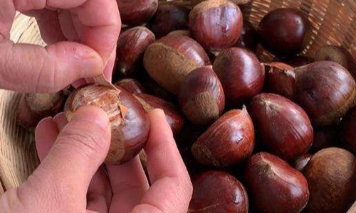 板栗怎么去皮和壳,教你一个小窍门去壳快易保存