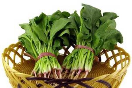 菠菜的营养价值和功效 菠菜的家常做法