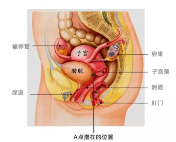 【图解】揭秘让女人高潮的秘密,男性必学！