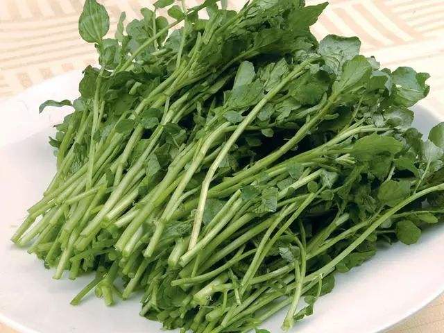 容易引起宫缩的蔬菜有哪些 容易引起宫缩的蔬菜有哪些