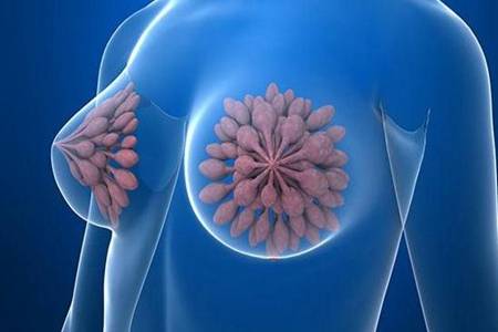 女人乳腺增生怎么调理最好方法是什么 预防乳腺增生的3大方法介绍