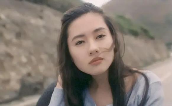 李丽珍出生于1966年1月8日，17岁的时候，有一天李丽珍在街上被星探发现，随后就拍摄了人生的第一条广告成为了一名模特，走在街上都能被星探看上，由此可见李丽珍的颜值与气质是多么的出众，李丽珍从此就算是踏进了娱乐圈，1983年，李丽珍参演了电影《开心鬼》系列，从那以后就成为电影中的常客。