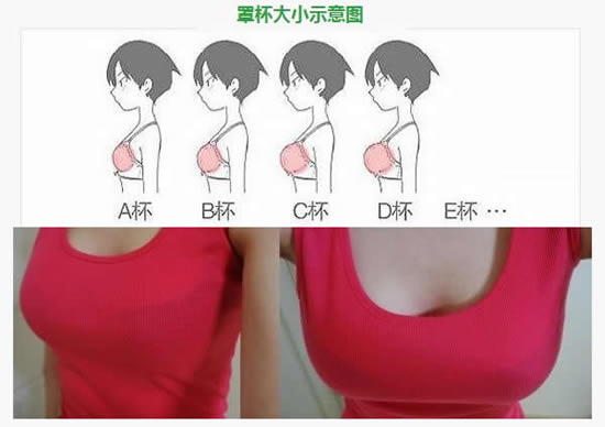abcd罩杯啥区别,女性文胸罩杯尺码不同
