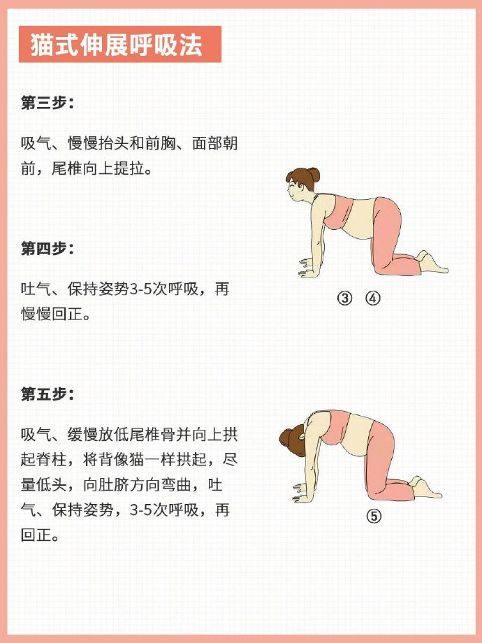 猫式伸展呼吸法