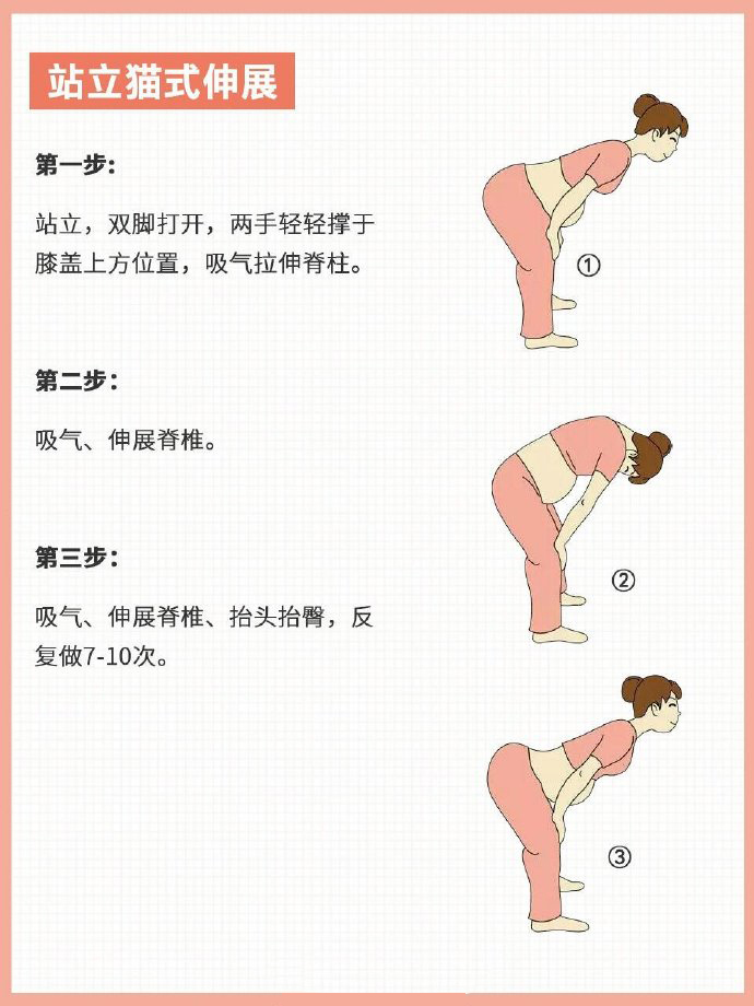 站立猫式伸展