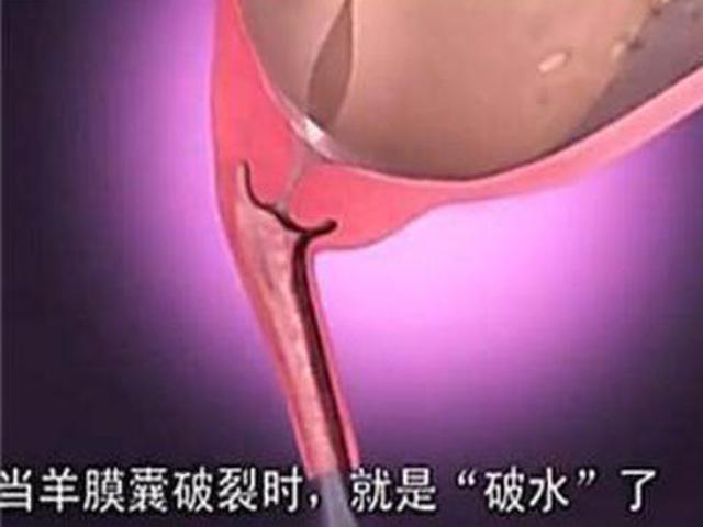 宝宝那么大,如何从狭小产道出来?了解后方知母爱多伟大!