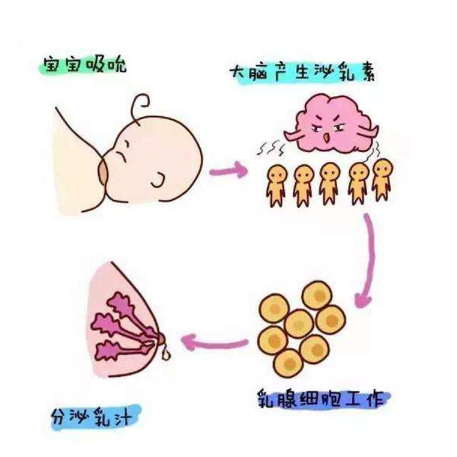 当母乳喂养遭遇堵奶,宝妈们不可持续犯错,＂三部曲＂缓解疏通
