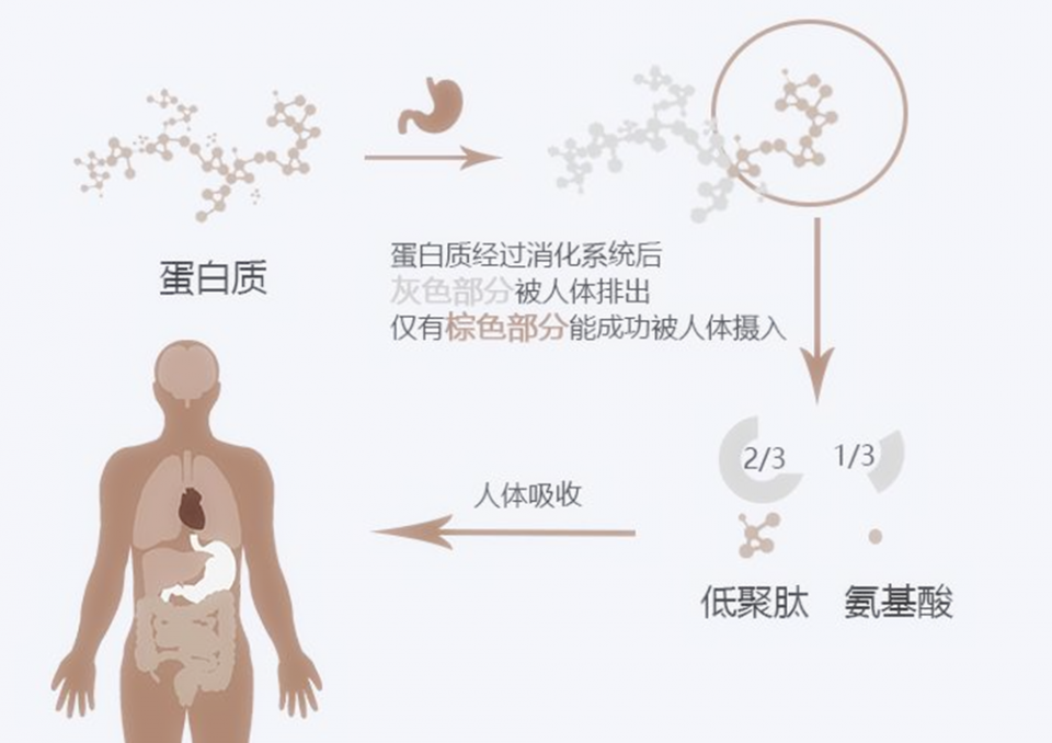 坐月子除了吃鸡蛋,这几种食物产妇也要多吃,有益于产后恢复