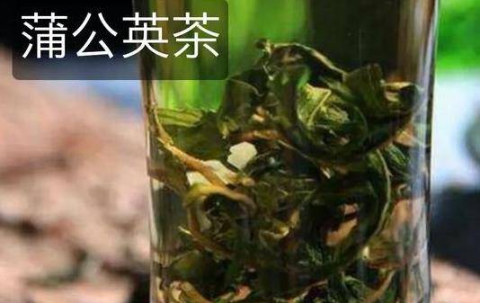 蒲公英茶的功效与作用 蒲公英泡水喝的禁忌人群有谁？