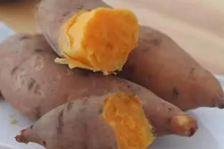 提高免疫力吃什么东西最好？这4种食物能防抗病毒少生病