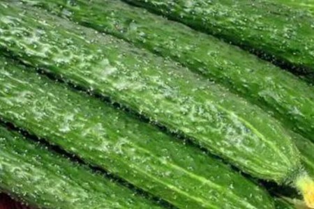 血压高吃什么食物可以降下来？这五种降压食物多吃
