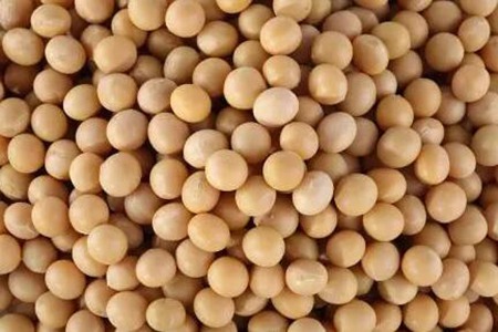 补血补气吃什么最快最好？这四个食物多吃改善气血不足
