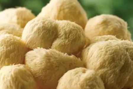 养胃吃什么食物最好？这四个食物营养健康护胃
