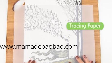 如何使用硫酸纸: 9 步骤（描摹图画）